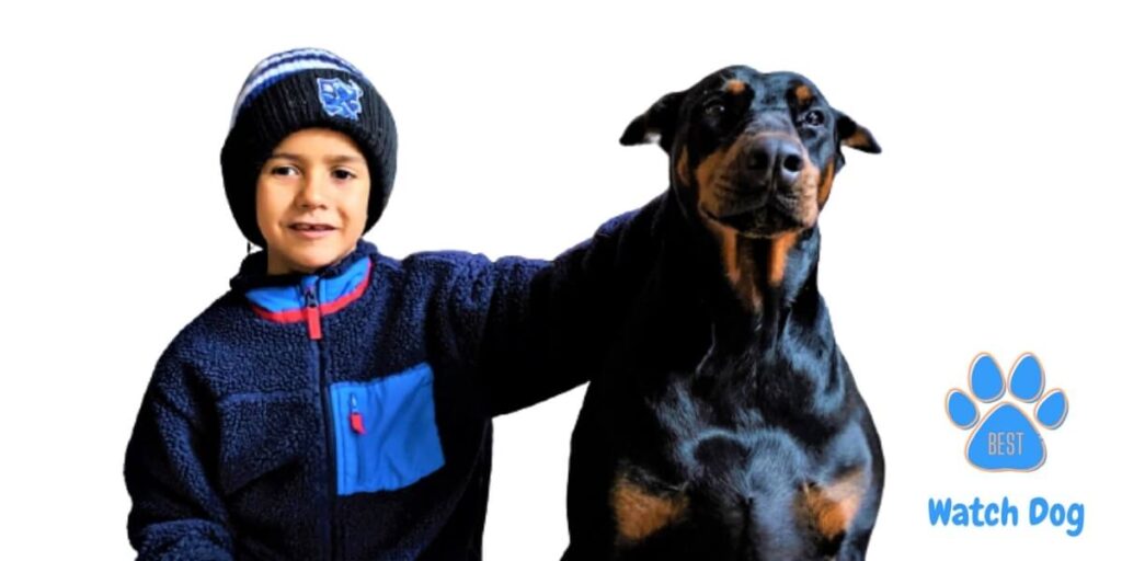 Doberman Or Rottweiler Better With Children