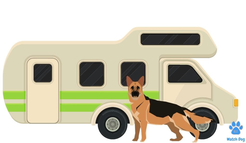  Best Guard Dogs For An RV