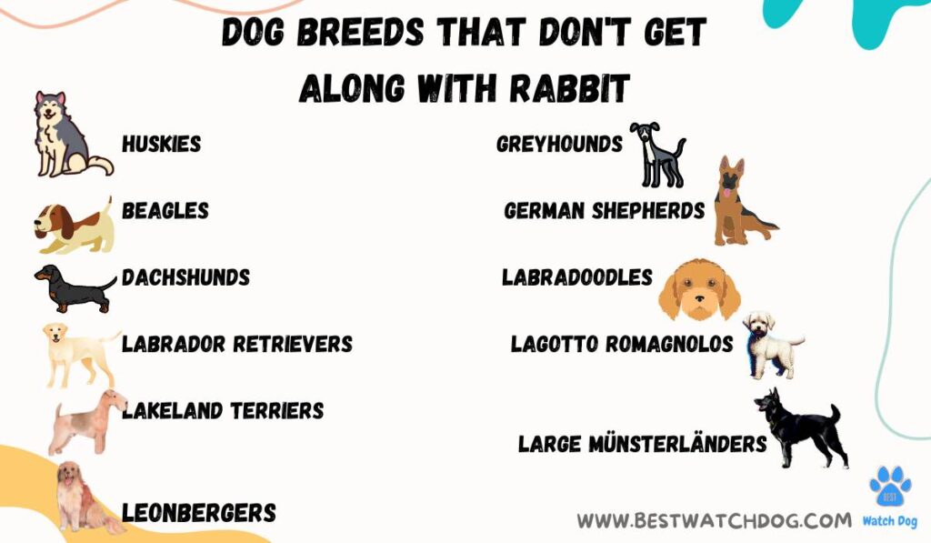 Can German Shepherds Live with Rabbits