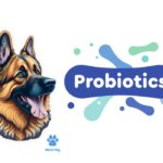 Best Probiotics For German Shepherd Dogs